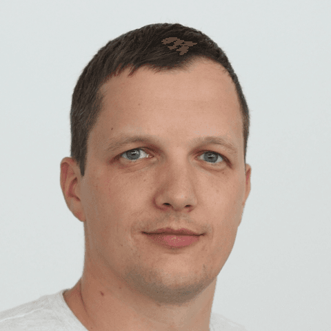 Image of Anton Krasnoshchok, Director of Fusion Engineering & Principal Fusion Developer at WorkFocus.io.