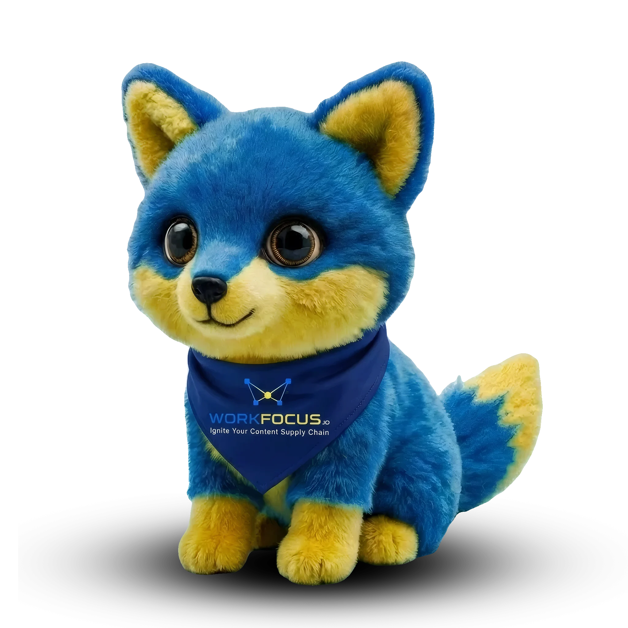 Focus Fox